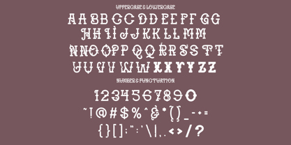 Regal Grace Font Poster 11