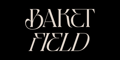 Baket Fashion Font Poster 15