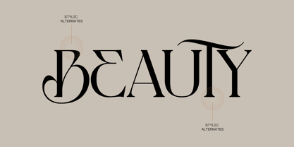 Baket Fashion Font Poster 8