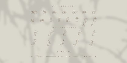 Stelaroy Font Poster 13