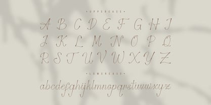 Stelaroy Font Poster 11