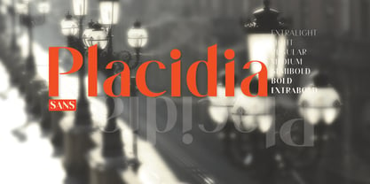 Placidia Sans Font Poster 1
