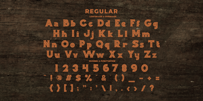 Woodshed Font Poster 11