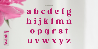 Avenita Font Poster 3