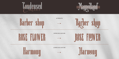 Magnolland Font Poster 5