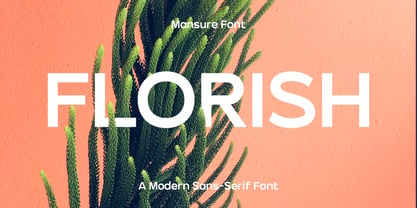 Mansure Font Poster 8