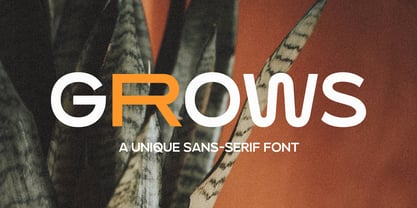 Mansure Font Poster 10