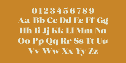 Quanety Font Poster 6