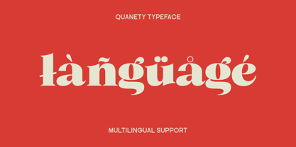 Quanety Font Poster 9