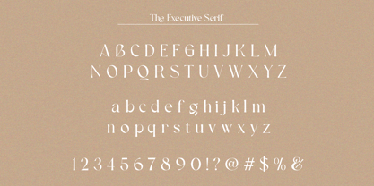 The Executive Casual Font Poster 6