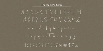 The Executive Casual Font Poster 8