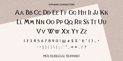 Vipsanie Font Poster 3