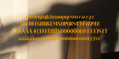 UEROPINIAN Font Poster 5