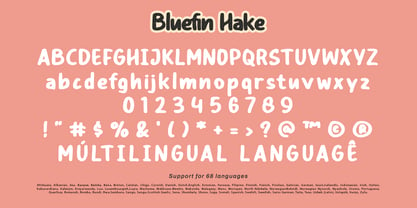 Bluefin Hake Font Poster 10