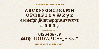 Timeless Radiance Font Poster 6