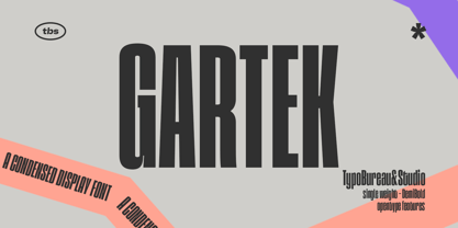 SCT Gartek Condensed Police Poster 1