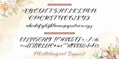 Amtyara Script Font Poster 5