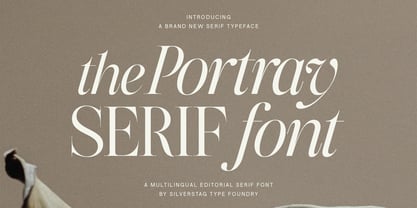 The Portray Font Poster 1