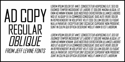 Ad Copy JNL Font Poster 1