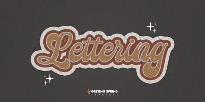 Greting Spring Script Font Poster 7