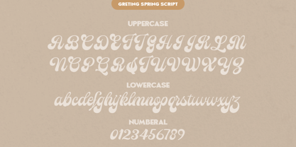 Greting Spring Script Font Poster 11