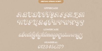 Greting Spring Script Police Poster 11