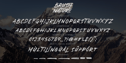 Brush Nature Font Poster 3