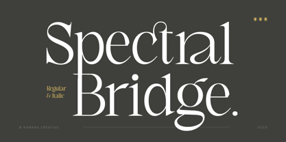 Spectral Bridge Font Poster 13