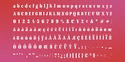 Kinetic Kisses Font Poster 6