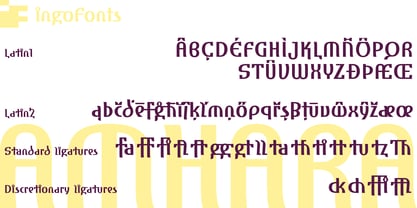 Amhara Font Poster 8
