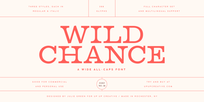 Wild Chance Font Poster 15