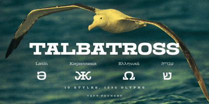 Talbatross Font Poster 1