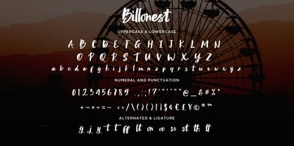 Billonest Font Poster 8