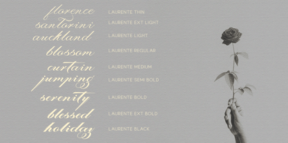 Laurente Script Variable Pro Font Poster 11