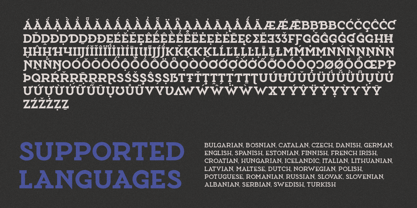 Ace Slab Font Poster 5