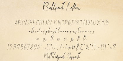 Ballpoint Letter Font Poster 7