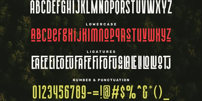 Lonedruida Font Poster 6