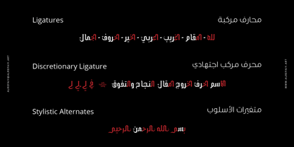 YR Gothic Arabic Font Poster 6