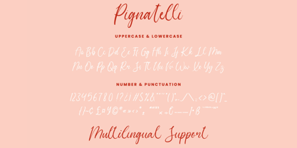 Pignatelli Font Poster 8