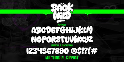 Back Wild Graffiti Font Poster 2