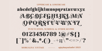 Morgalina Vintage Font Poster 10