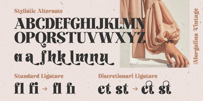 Morgalina Vintage Font Poster 11