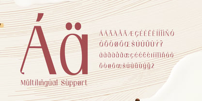 Andenita Font Poster 11