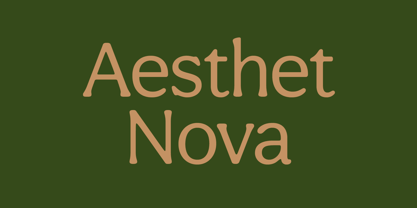 Aesthet Nova Font Poster 1