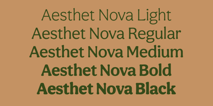 Aesthet Nova Font Poster 10