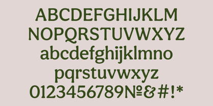 Aesthet Nova Font Poster 4