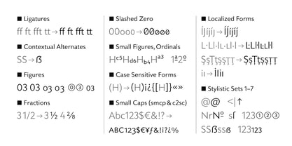 Triticale Font Poster 8