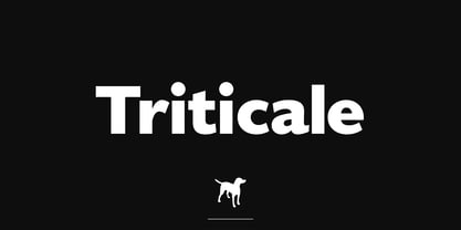 Triticale Font Poster 1