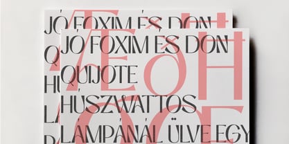 Niasec Lux Font Poster 7