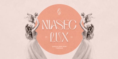 Niasec Lux Font Poster 1